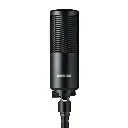 Shure SM4 Home Recording Microphone With Hard Mount