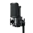 Shure SM4 Home Recording Microphone With Studio Kit